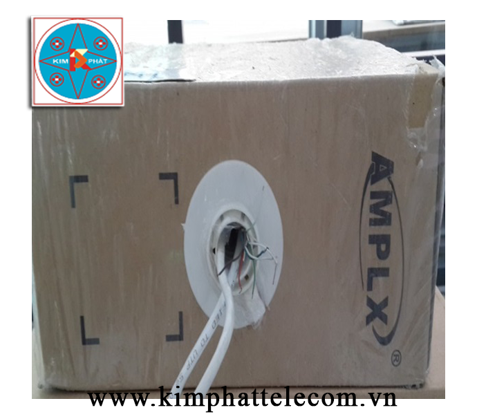 AMPLX CAT5 (100m)