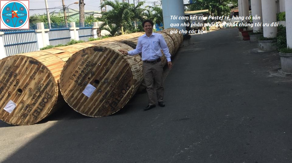 Cáp quang treo 12 sợi postef - TPKL