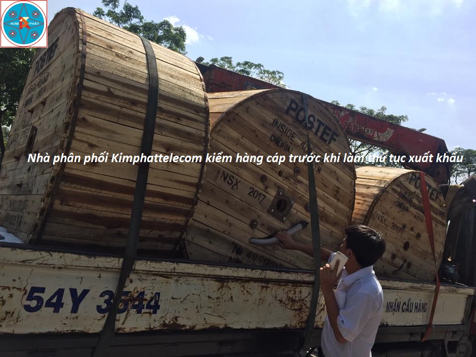 Cáp quang treo 48 sợi postef - TPKL