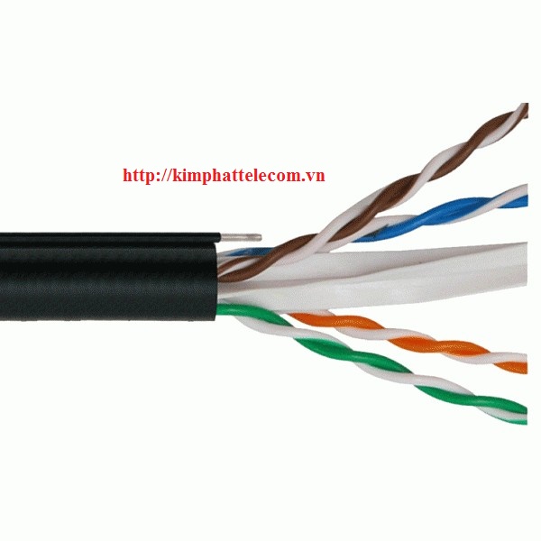 Cáp mạng outdoor Dintek CAT.6 UTP