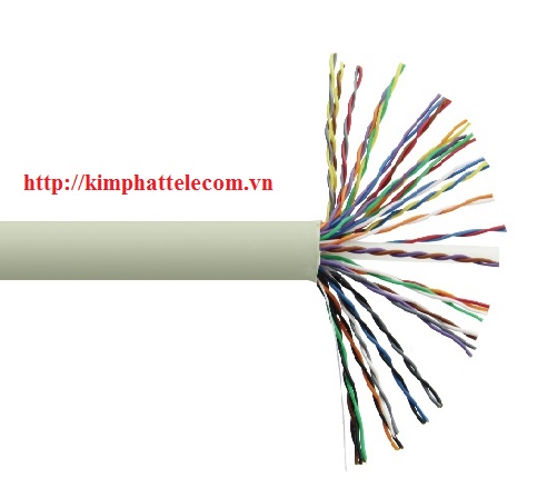 Cáp mạng Alantek Cat5e 25-pair UTP