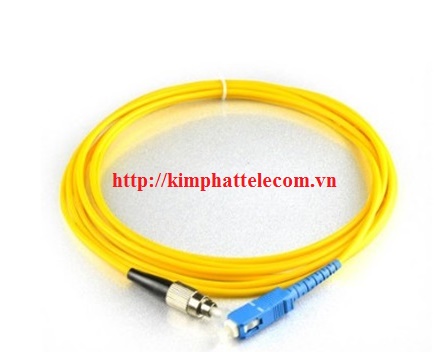 Dây nhảy quang SC-FC 3 mét